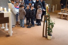 Ingelheim-1